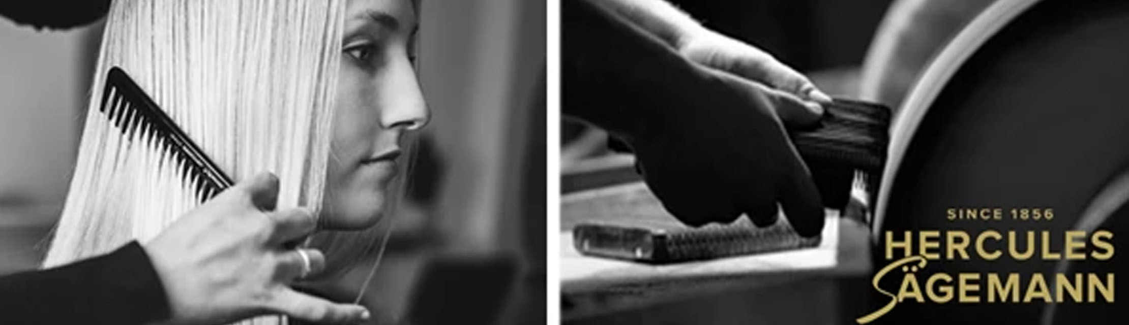 Hercules Sägemann