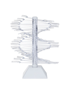ForNails Templates Display Transparent 30pcs.