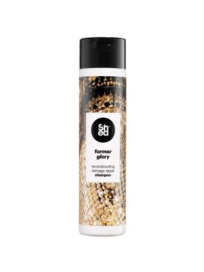 Shed Former Glory Damage Repair Shampoo 260ml