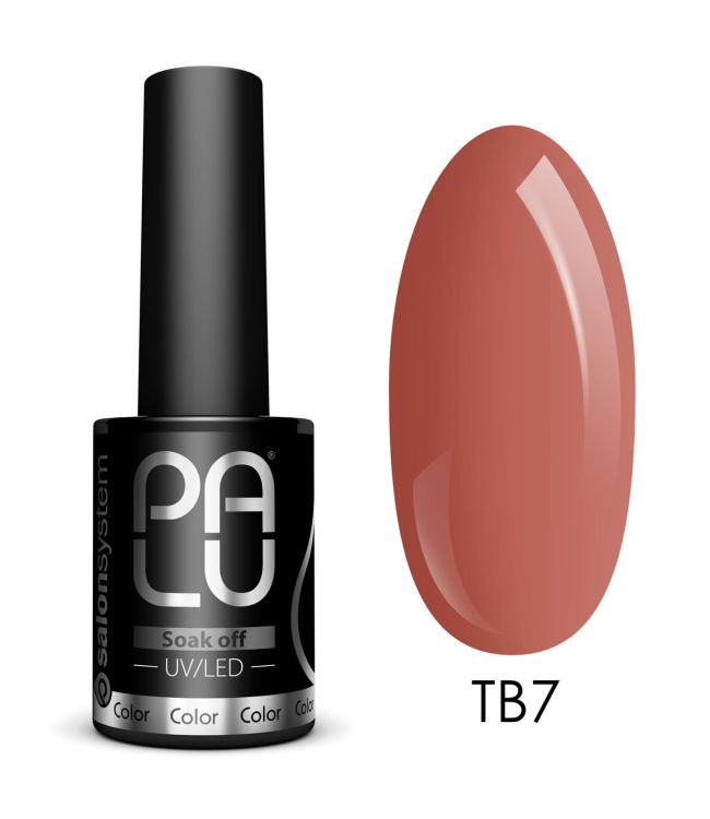 Principale image du produit