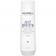 Goldwell Dualsenses Just Smooth Taming Shampoo 250ml