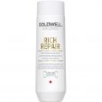 Goldwell Dualsenses Shampooing richement réparateur 250ml