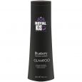 Royal Kis Glampooing Blueberry Violet Blue 250ml