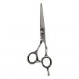 Ciseaux de coiffure Kessaku Master Japanese Steel 304 5.5