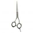 Ciseaux de coiffure Kessaku Master Japanese Steel 307 5.5