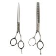 Kessaku Ciseaux de coiffure Premiumline SK103 Set 411 6.0 + 412 6.0 Effileer
