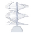 ForNails Templates Display Transparent 30pcs.