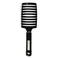 Borstel Vent Brush Nylon Zwart