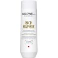 Goldwell Dualsenses Rich Repair Shampoo 250ml