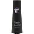 Royal Kis Glampoo Blueberry Violet Blauw 250ml