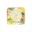 Nesti Dante Marsiglia Toscano Cedro Italico Zeep 200gr.
