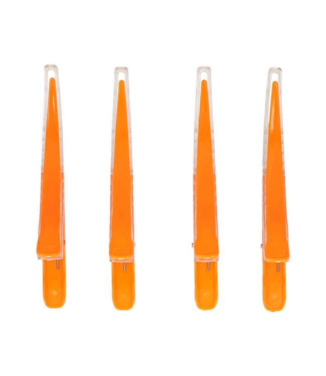 Principale image du produit