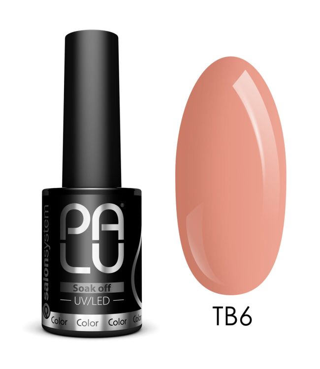 Principale image du produit