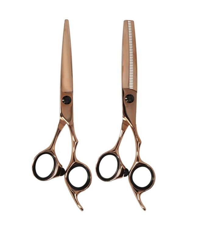 Principale image du produit