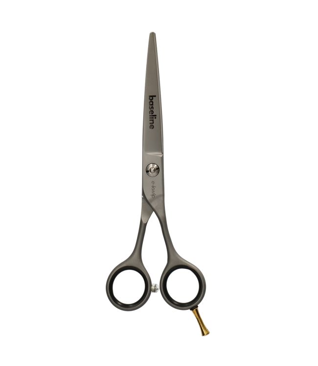 Principale image du produit