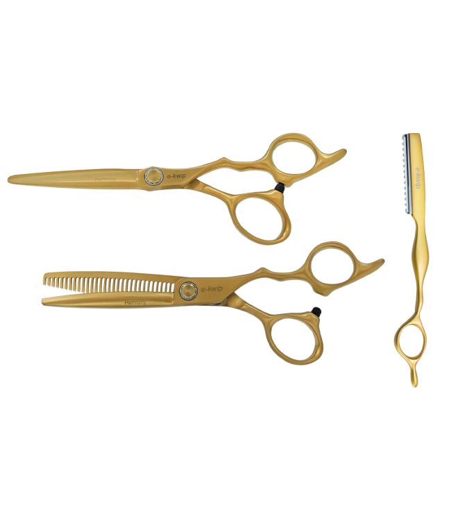 Principale image du produit