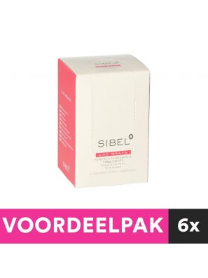 6 Stuks Sibel Puntpapier 1000 vel 80x55mm Voordeelpakket