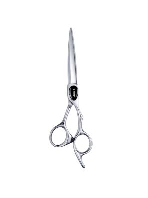 E-Kwip+ Ciseaux de coiffure Primus 5.5